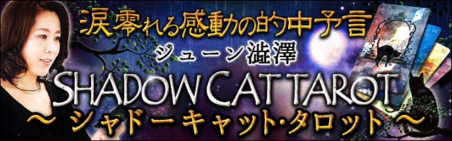 涙零れる感動の的中予言【ジューン澁澤】シャドーキャット・タロット